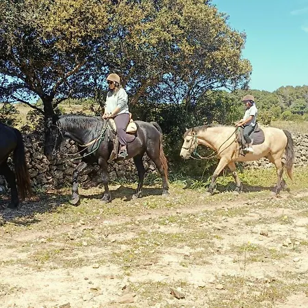 Casa Addaia Playa Arenal D'en Castell *