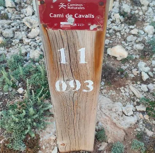 Lägenhet Casa Addaia Playa Arenal D'en Castell *